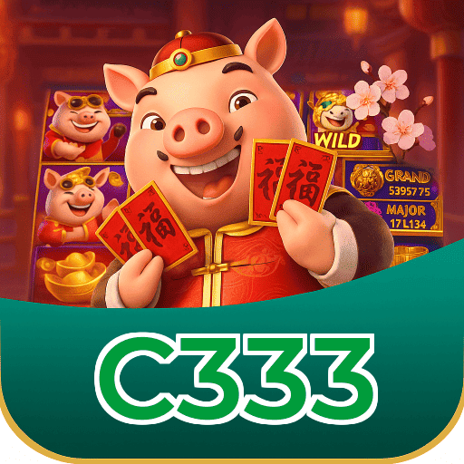 C333 Logo